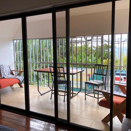 Cockatoo Studio Apartments Vườn quốc gia Vườn quốc gia Manuel Antonio Ngoại thất bức ảnh