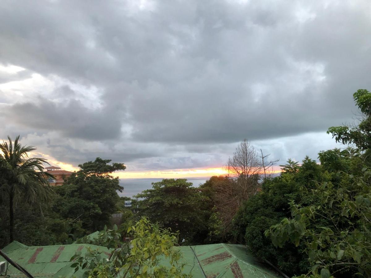 Cockatoo Studio Apartments Vườn quốc gia Vườn quốc gia Manuel Antonio Ngoại thất bức ảnh