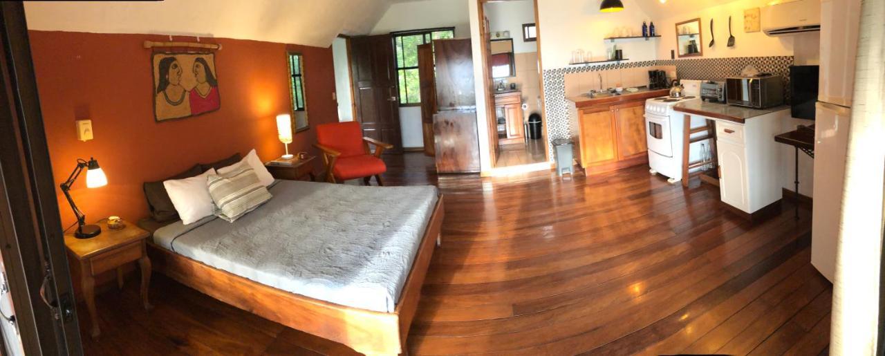 Cockatoo Studio Apartments Vườn quốc gia Vườn quốc gia Manuel Antonio Ngoại thất bức ảnh