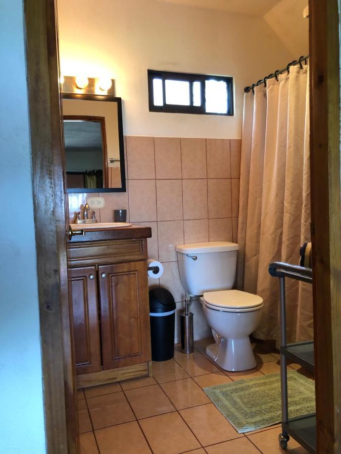 Cockatoo Studio Apartments Vườn quốc gia Vườn quốc gia Manuel Antonio Ngoại thất bức ảnh