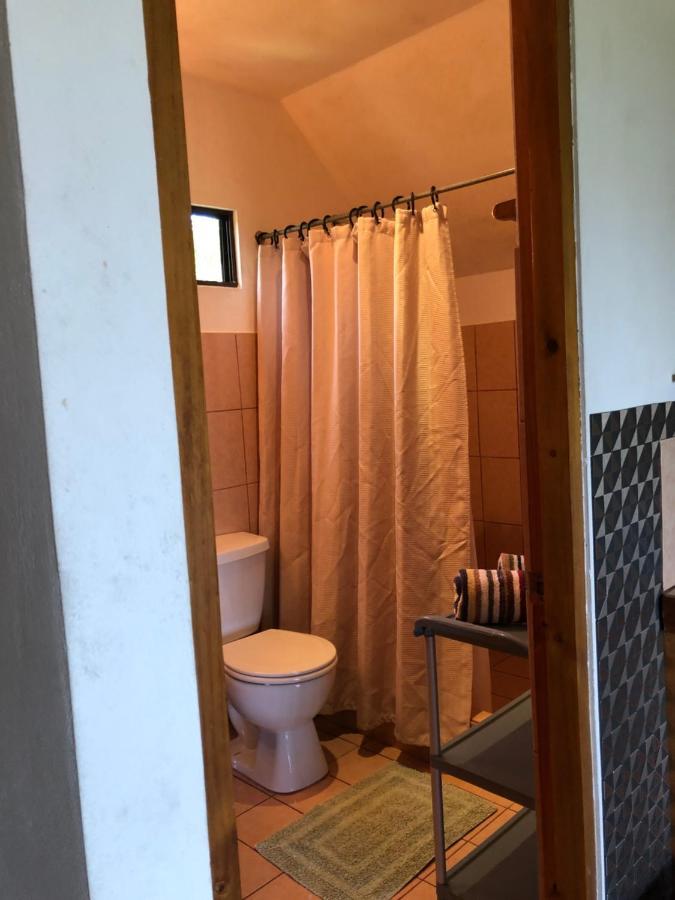 Cockatoo Studio Apartments Vườn quốc gia Vườn quốc gia Manuel Antonio Ngoại thất bức ảnh
